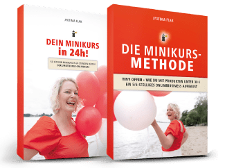 2 boxen methode und 24 minikurs methode , minikurs erstellem